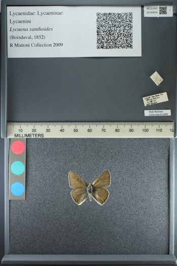 Media type: image;   Entomology 183816